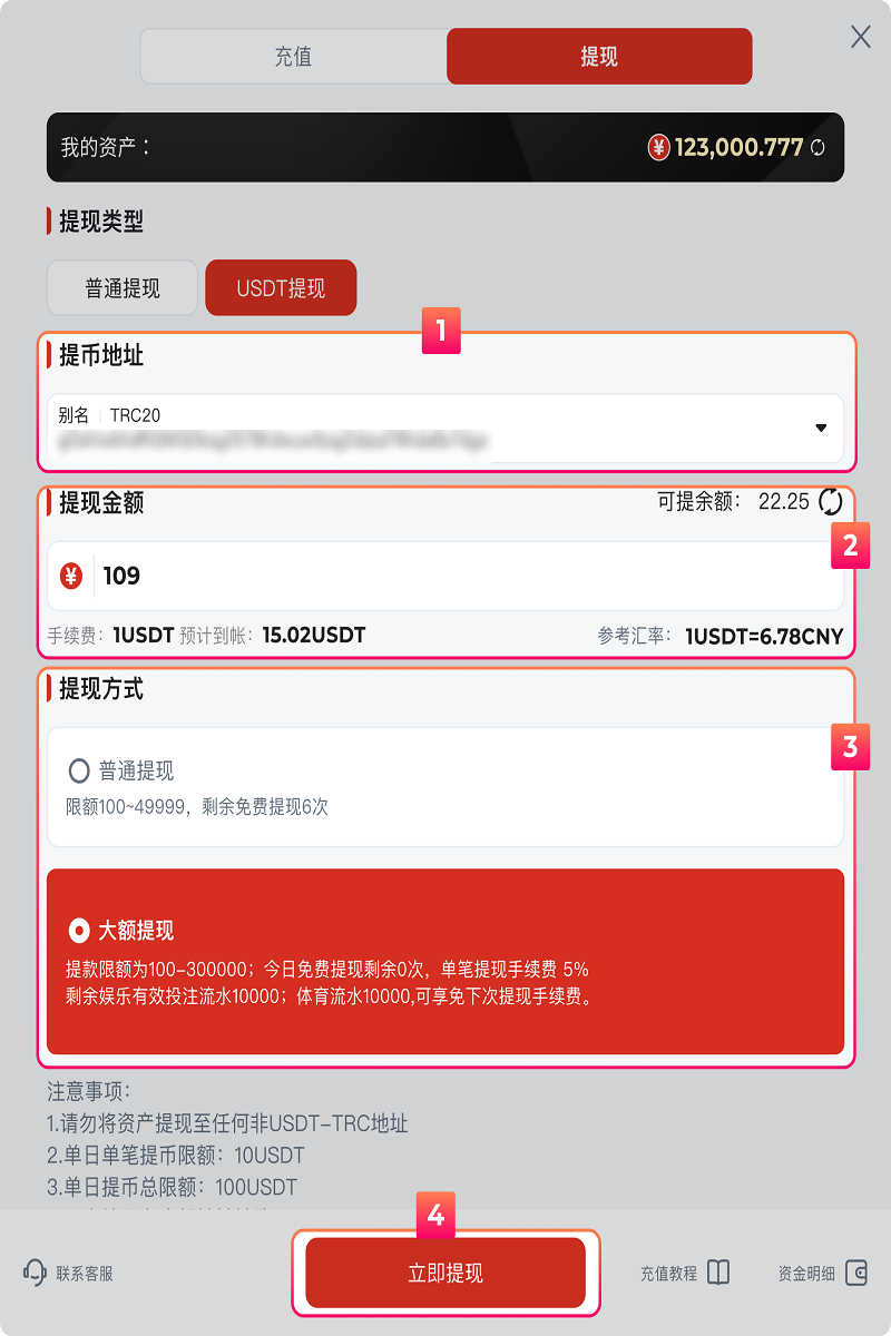 世界杯游戏提款教程 3 USDT提款页面