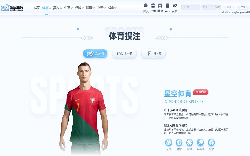 世界杯游戏APP 世界杯游戏APP